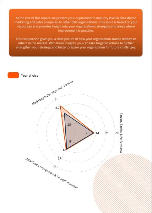 Maturity Index Report Example